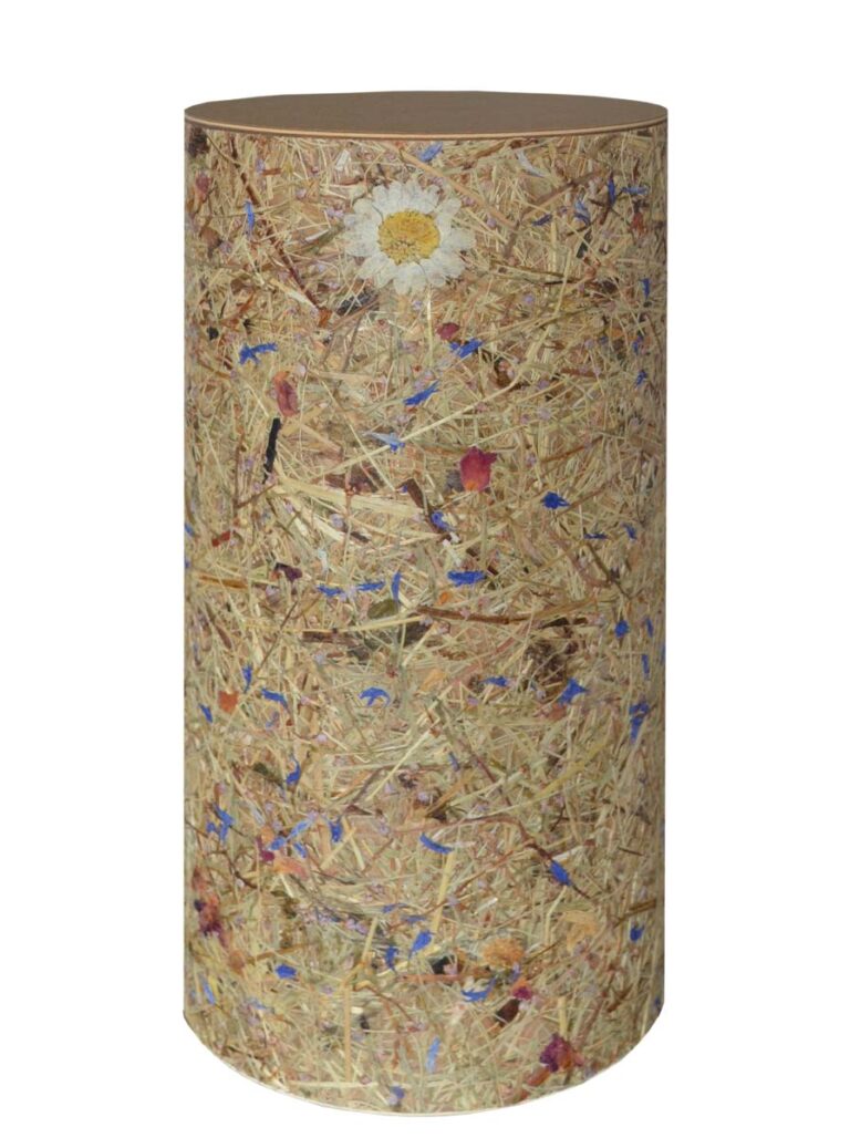 Bestattungsurne, Graburne, Urne aus umweltfreundlichem Karton, biologisch abbaubar, kompostierbar, verrottbar, nachhaltig, recycelbar, natürlich, Baumbestattung, Tree of Life, Schweizer Produkt, FSC-Papier, aus echtem Heu, kostenlose Lieferung